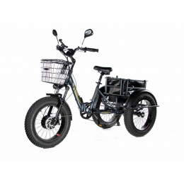 Трехколесный электровелосипед E-motions PANDA