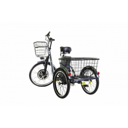 Трехколесный электровелосипед E-motions KANGOO-RU 700