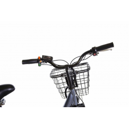 Трехколесный электровелосипед E-motions KANGOO-RU 500 с корзиной